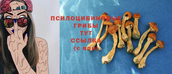 бутират Майский
