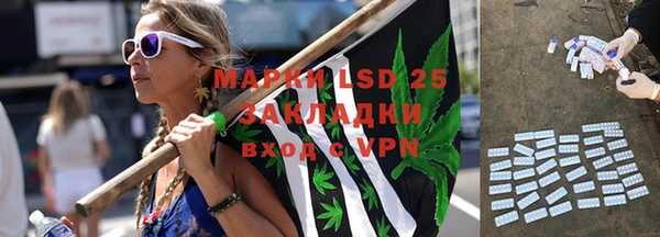 трава Магадан