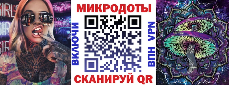 закладки  Болохово  Псилоцибиновые грибы Psilocybine cubensis 